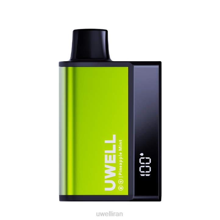 UWELL DL8000 ویپ یکبار مصرف نعناع آناناسی 6DRV284 | UWELL VAPE FLAVOURS